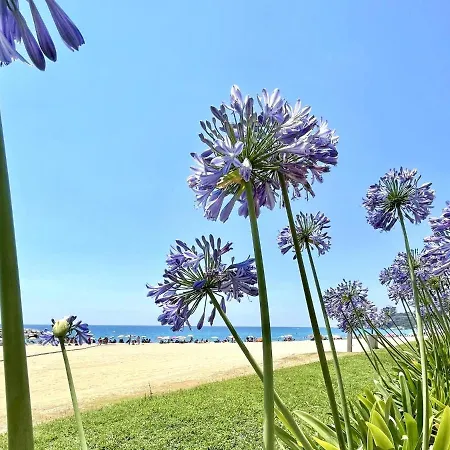 Atica Casa vacanze Calonge (Catalonia)